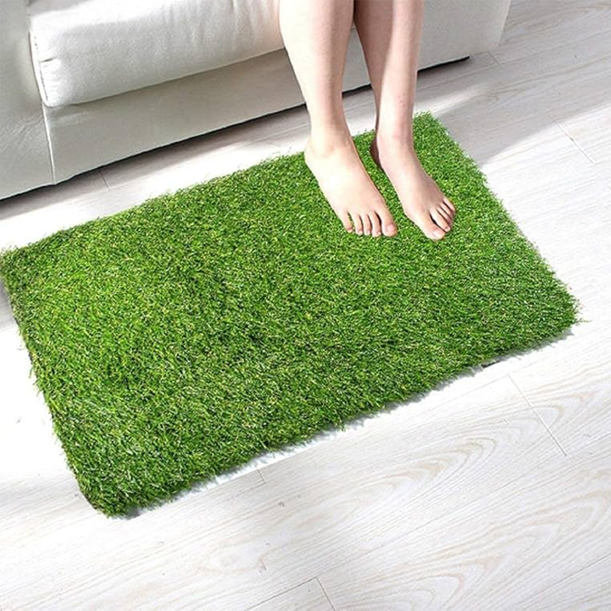 Tuffted Carpet Grass